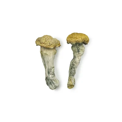 Creature 801 Magic Mushrooms where to buy magic mushrooms - We Are #1 Top Store Online