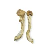 Penis Envy 7 Magic Mushrooms Magic Mushrooms Buy Online - Your #1 trusted Online Store