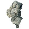 Buy Enigma Magic Mushroom - #1 Mysterious Shroom Strain