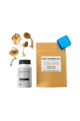 First Timer Magic Mushroom Kit: Psych 101 – An Introduction to Psychedelics Buy Magic Mushrooms - Your #1 Trusted Shrooms Store Online