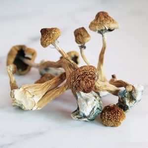 Buy Hawaiian Mushroom​ - Your #1 Trusted Shrooms Store