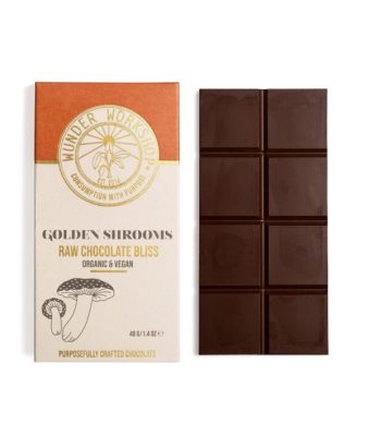 Golden Shrooms Raw Chocolate Bliss Chocolate Shroom Bars For Sale - Your #1 Trusted Store Today