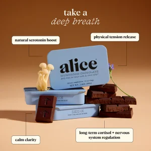 Buy Alice Chocolate Mushroom - Your #1 Trusted Online Store