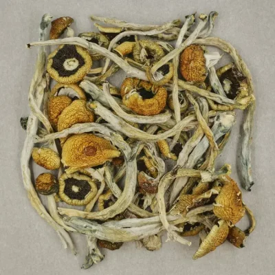 Costa Rican Magic Mushrooms Buying Psychedelic Mushrooms - Your #1 Trusted Location