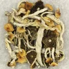 Cuban Magic Mushrooms Buy Magic Mushroom - Your #1 Trusted Location Store Online
