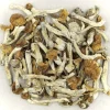 Florida White Magic Mushrooms Buy Dry Magic Mushrooms - Your #1 Trusted Location Store