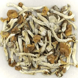Buy Dry Magic Mushrooms - Your #1 Trusted Location Store