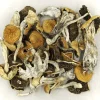 Psilocybin Mushrooms Buy - Your #1 Trusted Location Online