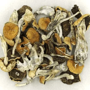 Where Can I Buy Psilocybin Mushrooms - Your #1 Trusted Store
