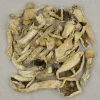 Our Magic Mushroom Shop - Your #1 Trusted Location Store