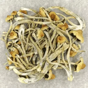 Psilocybin Mushrooms For Sale Online - Your #1 Trusted Store