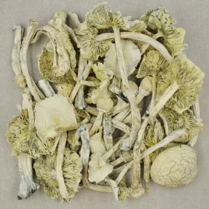 Buy Shroomies Near Me - Your #1 Trusted Location Online