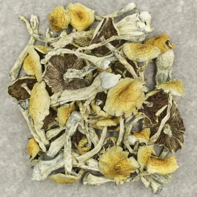 Apex Magic Mushrooms Psychedelic Mushrooms For Sale - Your #1 Trusted Location