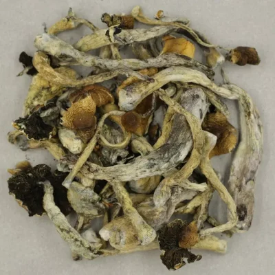 Buy Psychedelic Mushroom Online - Your #1 Trusted Location